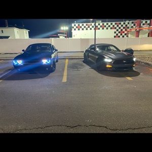 Meet your Posher, Branden